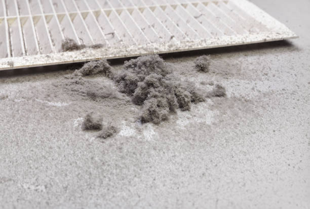 Best Affordable HVAC Duct Cleaning  in Northampton, MA