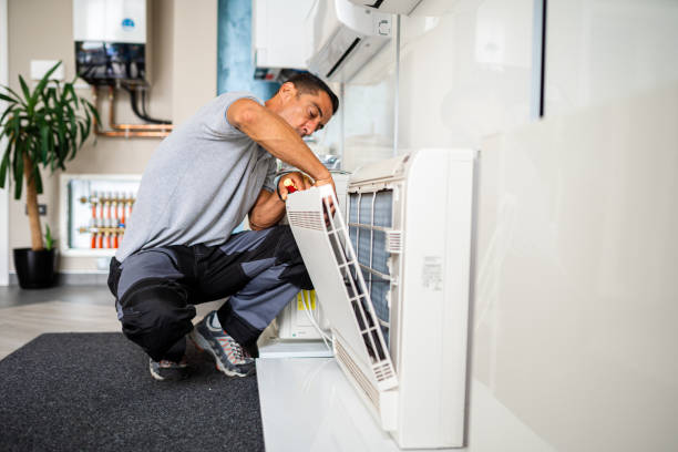 Best Local Air Duct Cleaning Services  in Northampton, MA