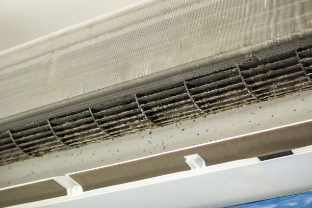Affordable HVAC Duct Cleaning in Northampton, MA