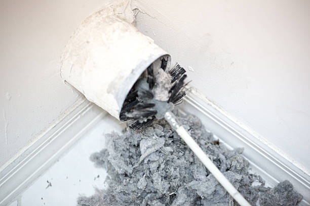 Best Home Air Vent Cleaning  in Northampton, MA